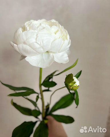 Цветы пионы искусственные цветы