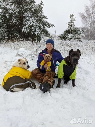 Передержка собак в частном доме
