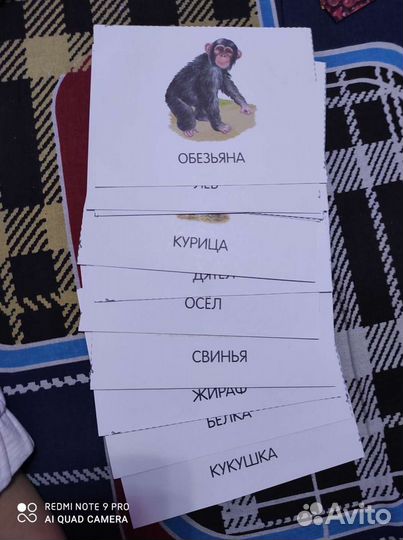Карточки животные