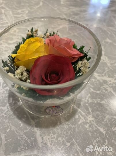 Цветы в стекле