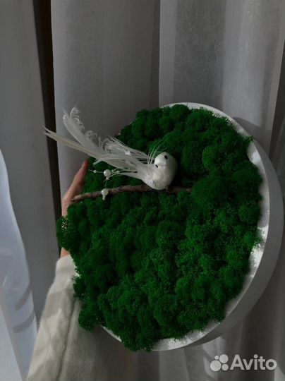 Фитокартина стабилизированный мох