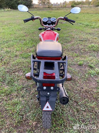 Alpha rx 110