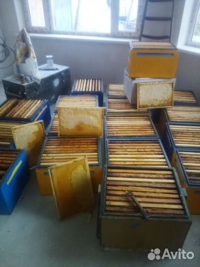 Медовые рамки для подкорма пчел разнотравье