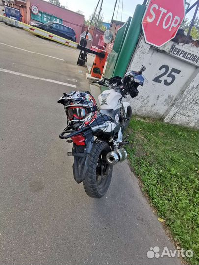Stels flex 250