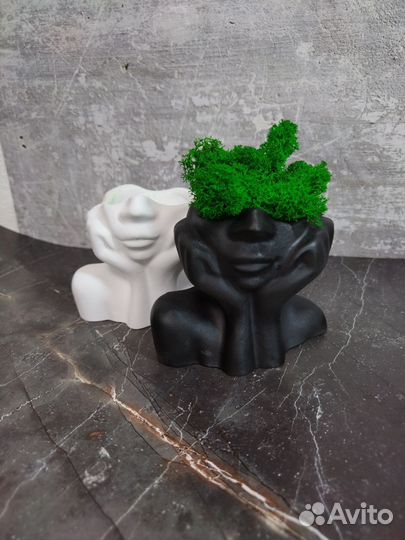 Кашпо со стабилизированным мхом