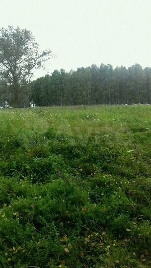 Участок 45 сот. (ИЖС)