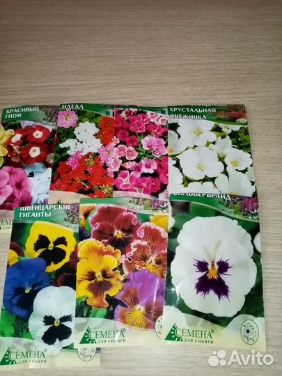 Продам излишки однолетних цветов: