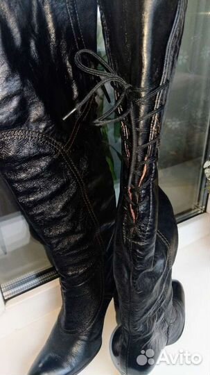 Сапоги carlo pazolini