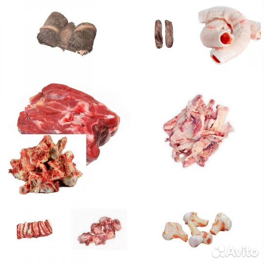 Натуральное питание для собак и кошек