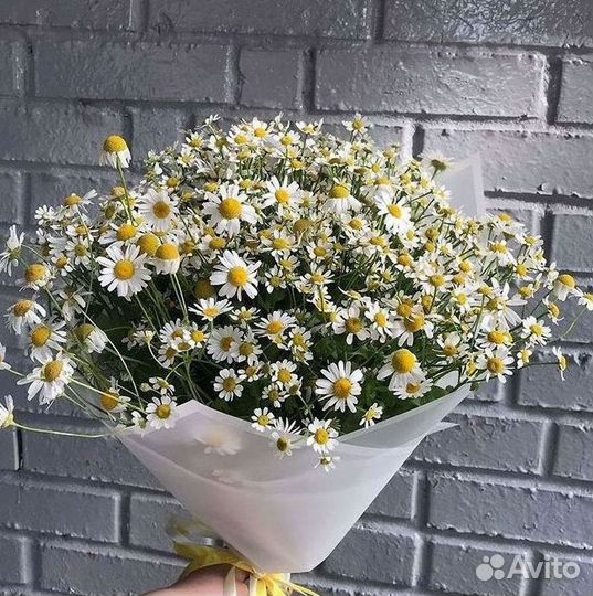 Ромашки Букет из ромашек доставка