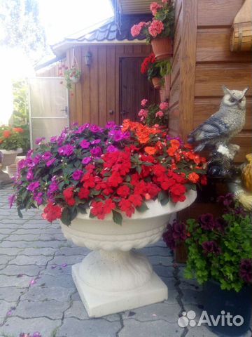 Вазоны для цветов