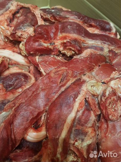 Мясо и субпродукты для собак