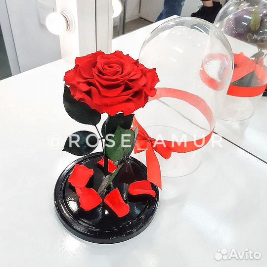 Роза в колбе