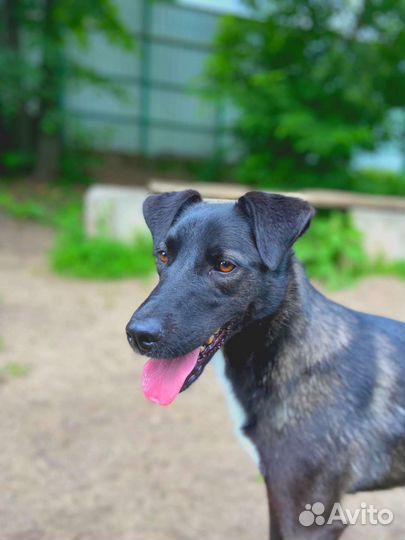 Каждый день может быть последним