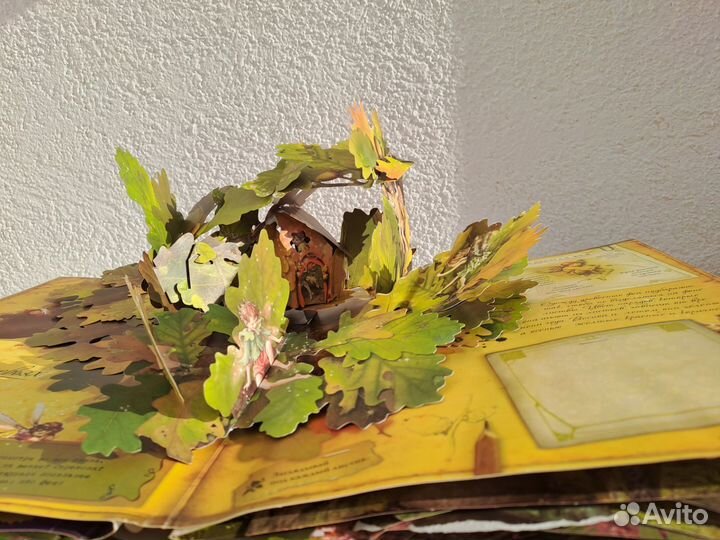 Королевство фей