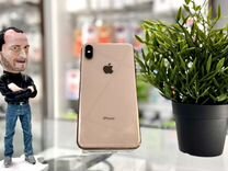 iPhone Xs Max, 256 ГБ