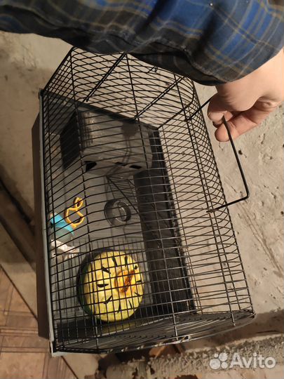 Клетка для мелких грызунов 20*35см