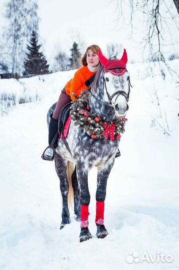 Лошади