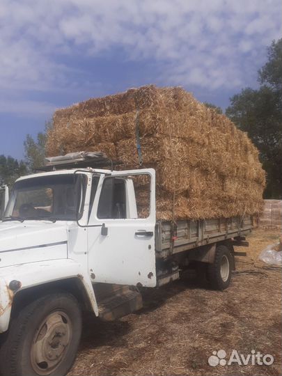 Сено в тюках