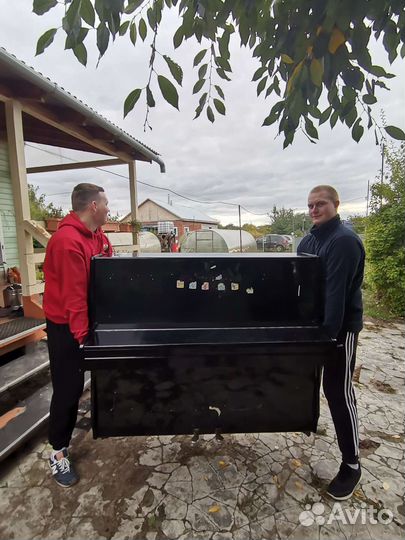 Грузчики/переезды/грузоперевозки