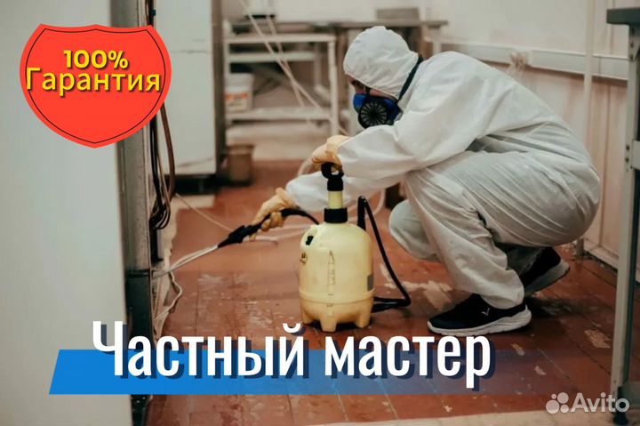 Травля тараканов клопов удаление плесени