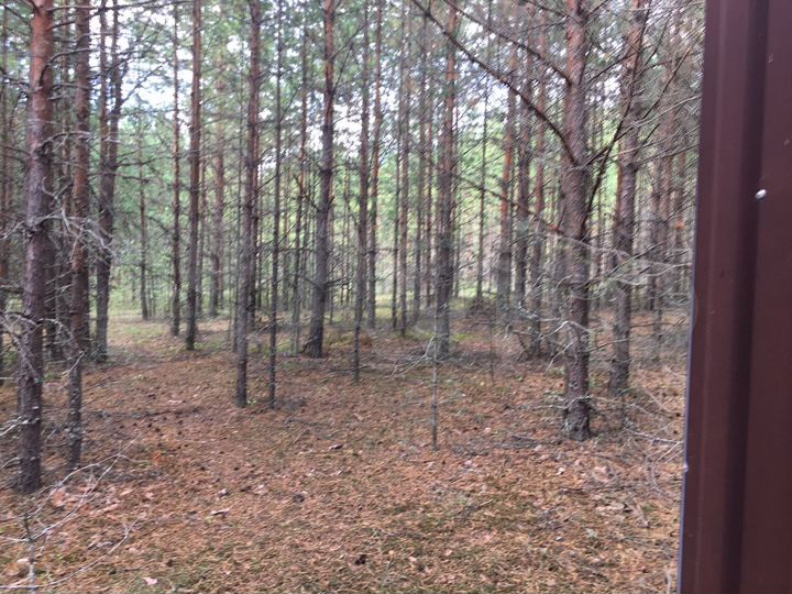 Участок 25 сот. (ИЖС)