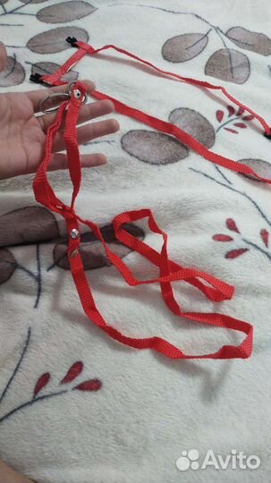 Шлейка для маленькой собаки