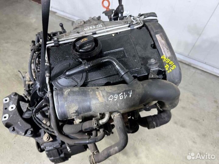 Двигатель Volkswagen Golf BKD 2006