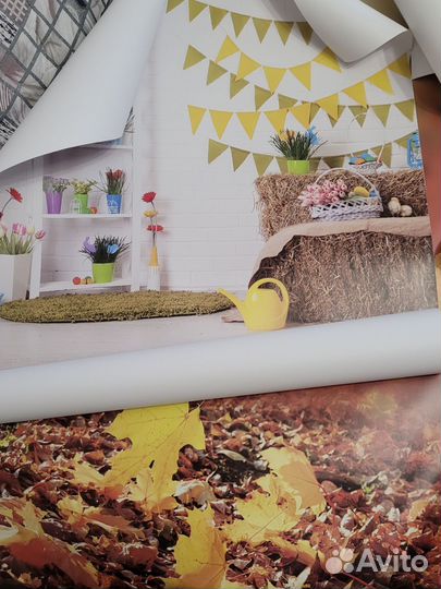 Фотофон виниловый 53*86