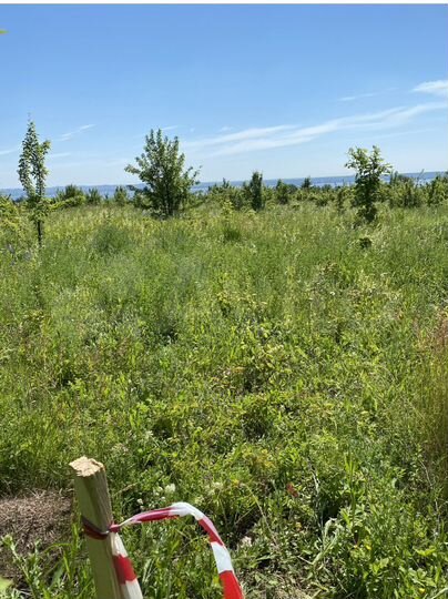 Участок 14 сот. (ИЖС)