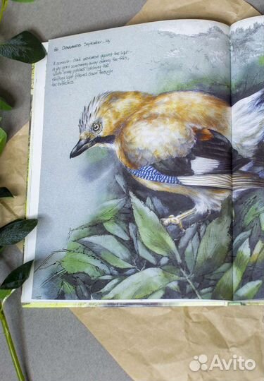 Книга скетчбук о природе Великобритании