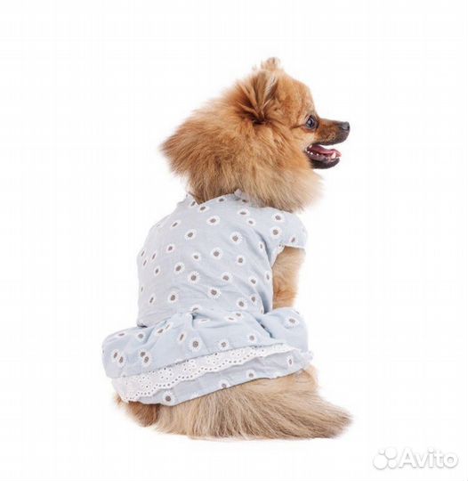Одежда для собак размер L