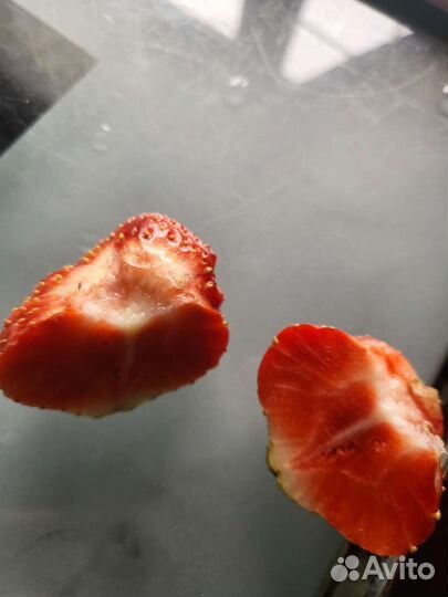 Клубника чамора турусси