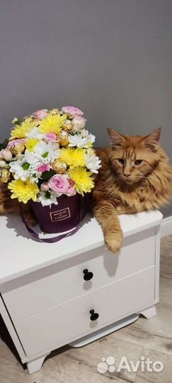 Букет из цветы и конфет