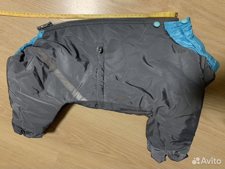 Одежда для собак