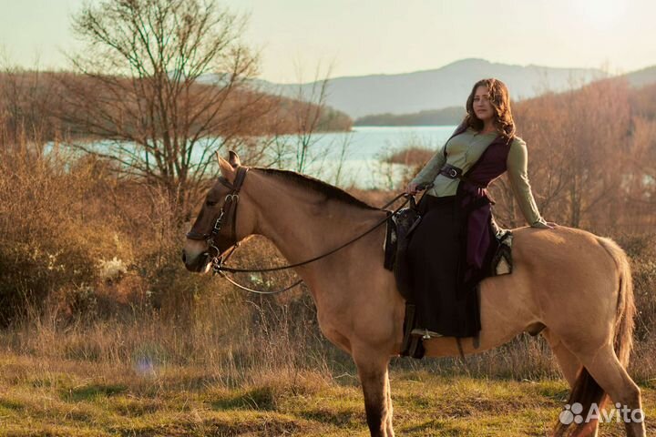 Конные прогулки