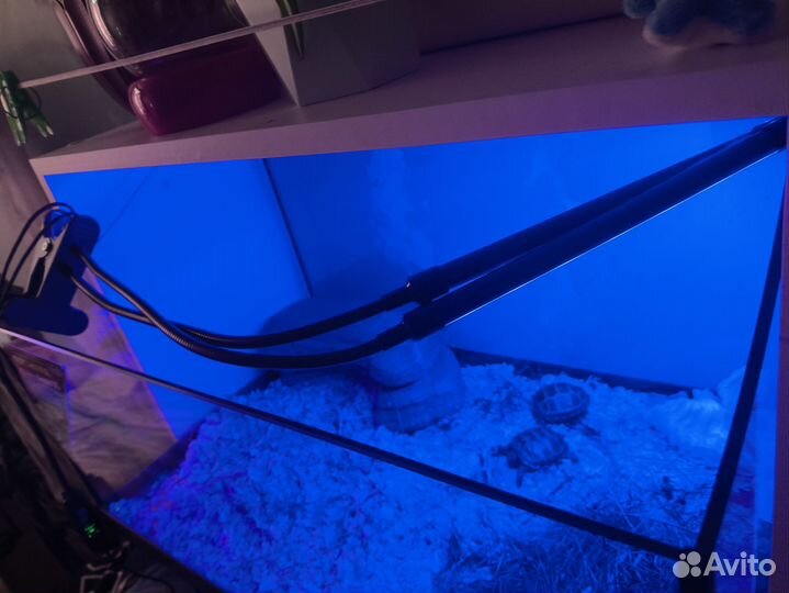 Ультрафиолетовая лампа для растений