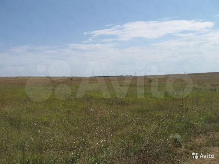 Участок 100 сот. (СНТ, ДНП)