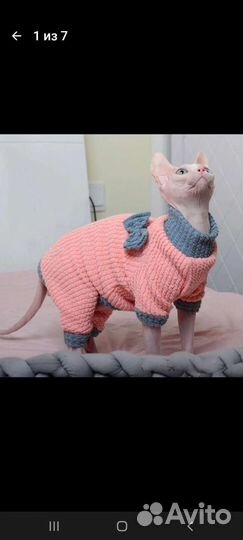 Вязаный свитер для питомца