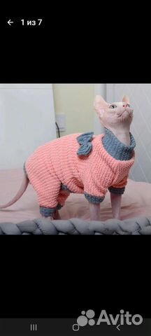 Вязаный свитер для питомца
