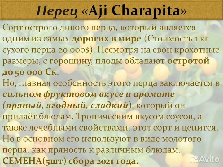 Семена Жгучего Сортового элитного перца