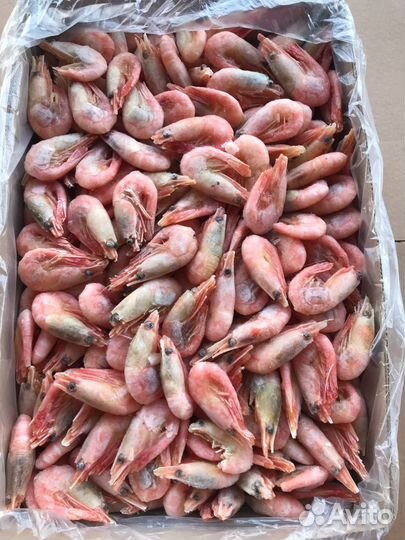 Креветки северные 70/90 и 70+