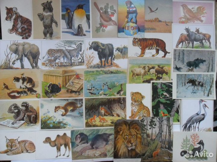 Звери, птицы, Исаков, Гамбургер, Чарушин, Ватагин