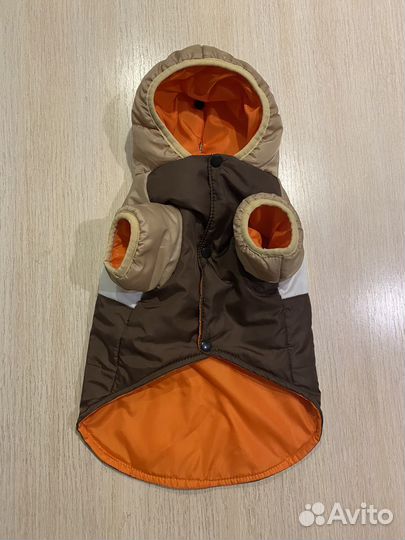 Одежда для собак