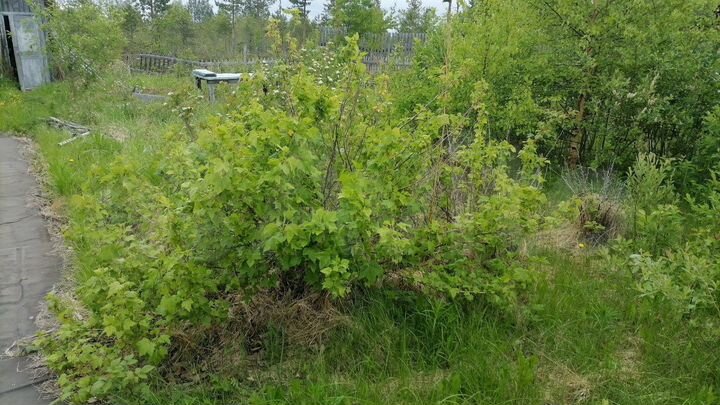 Дача 30 м² на участке 8 сот.