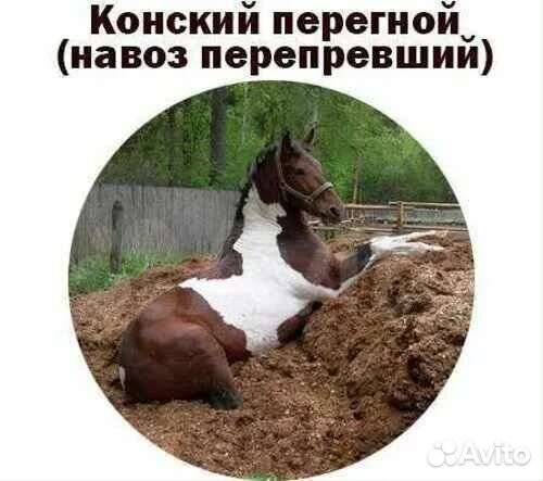 Навоз конский в мешках