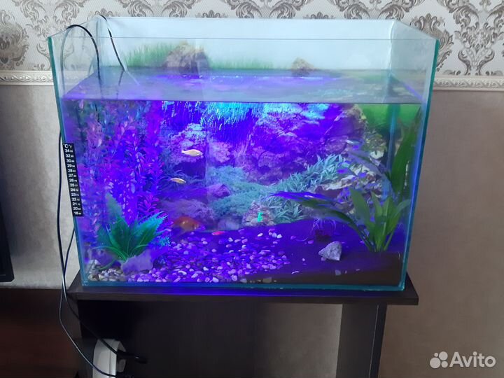 Аквариум