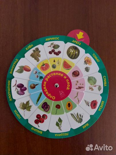 Окружающий мир (тренажер для начальной школы)