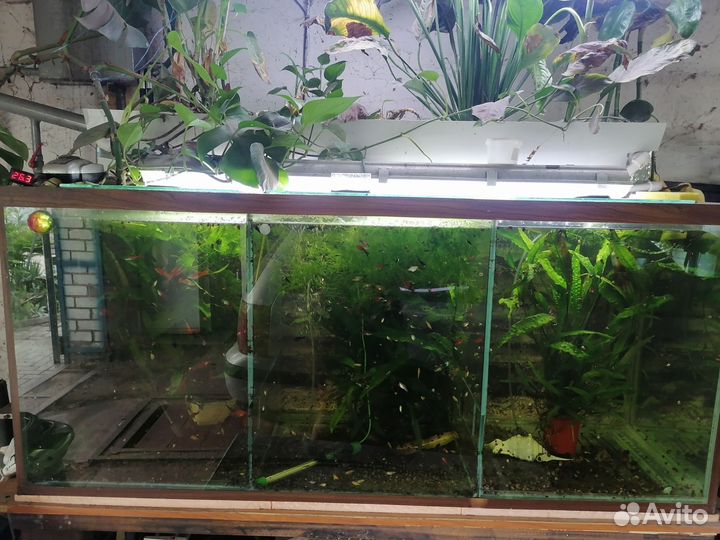 Аквариум на 700 литров