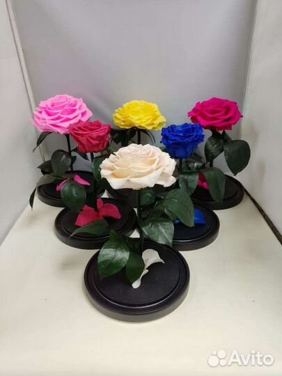 Розы оптом